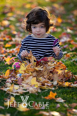 Bay Area Family Portraits